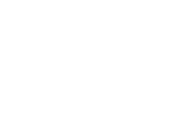 logo Tiniri Marketing